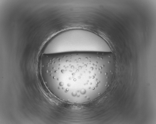 X0000080180346200612081140