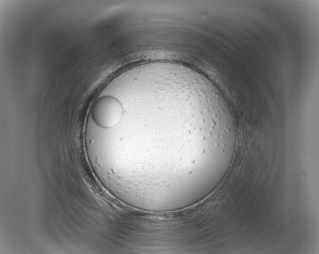 X0000080180347200612081140