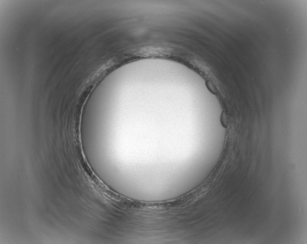 X0000080180353200612081140