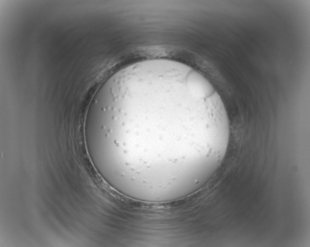 X0000080180359200612081140