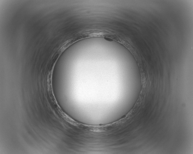 X0000080180360200612081140