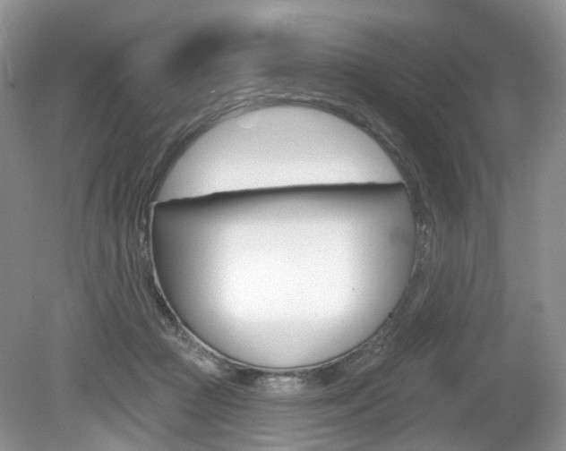 X0000080180361200612081140
