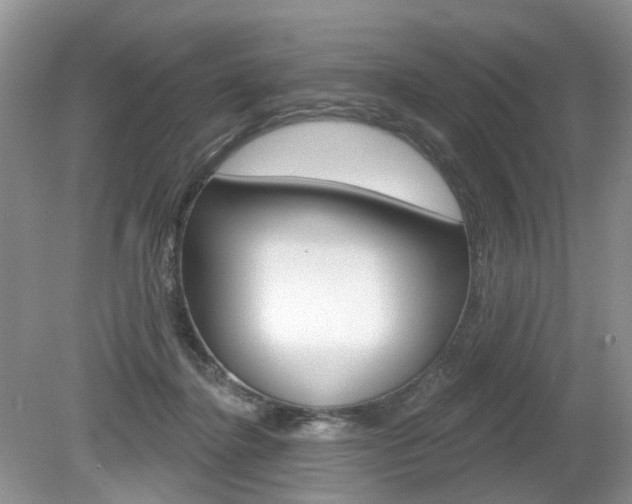 X0000080180364200612081140