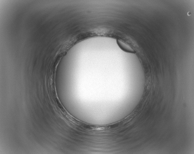 X0000080180365200612081140