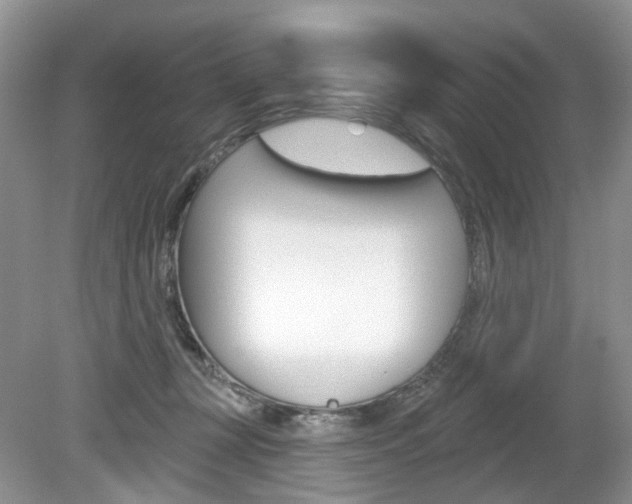 X0000080180367200612081140