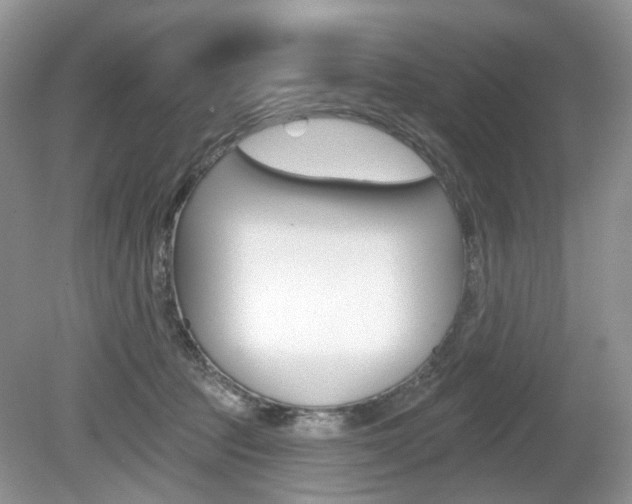 X0000080180369200612081140