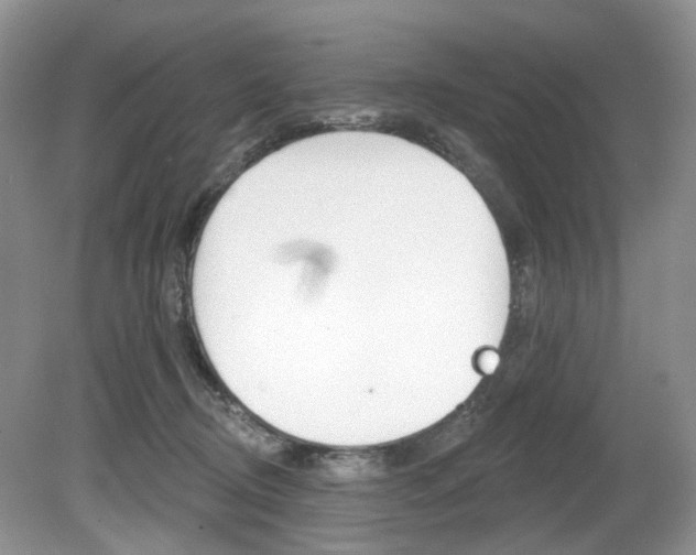 X0000080180370200612081140