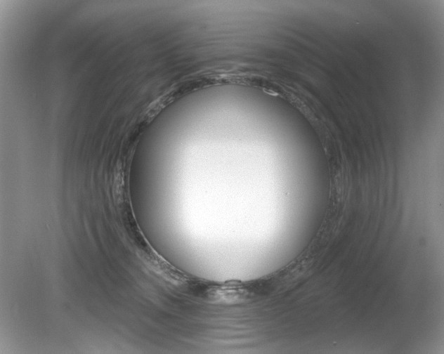 X0000080180372200612081140