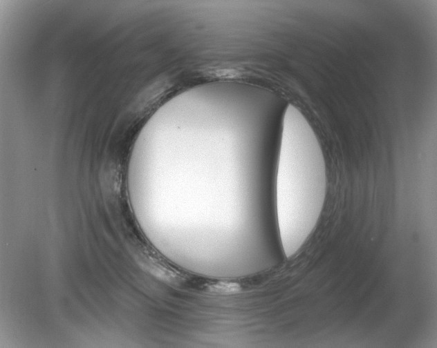 X0000080180374200612081140