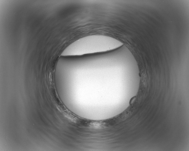 X0000080180375200612081140