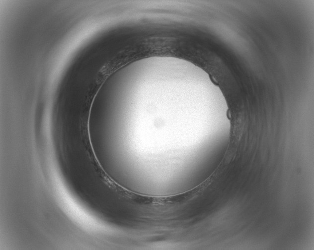 X0000080180383200612081140