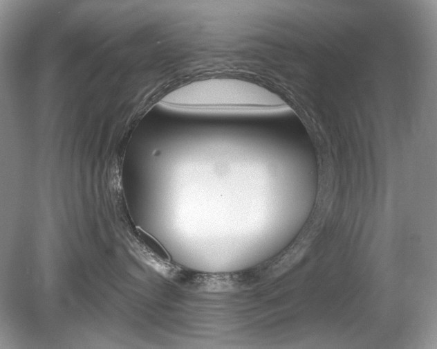 X0000080180384200612081140