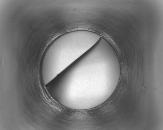X0000080180386200612081139