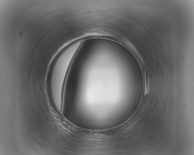 X0000080180387200612081139