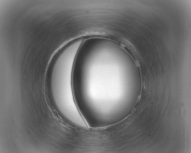 X0000080180388200612081139