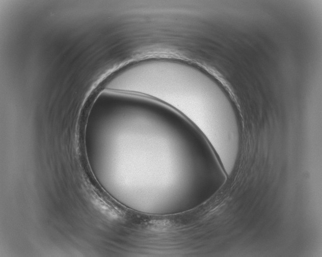 X0000080180391200612081139