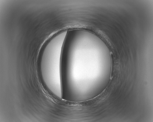 X0000080180395200612081139