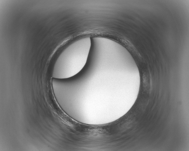 X0000080180396200612081139