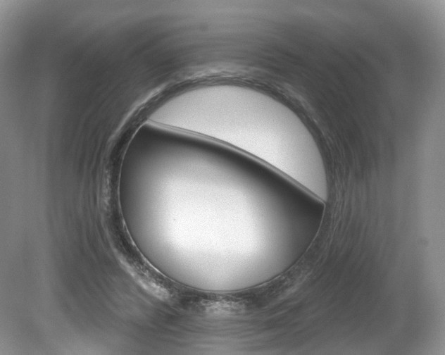 X0000080180400200612081139