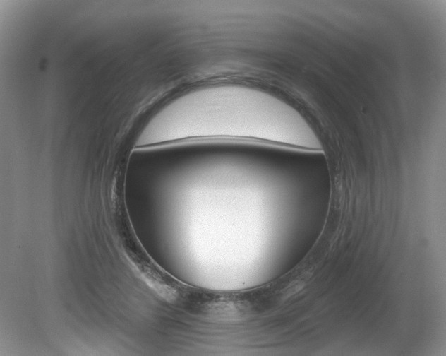X0000080180404200612081139