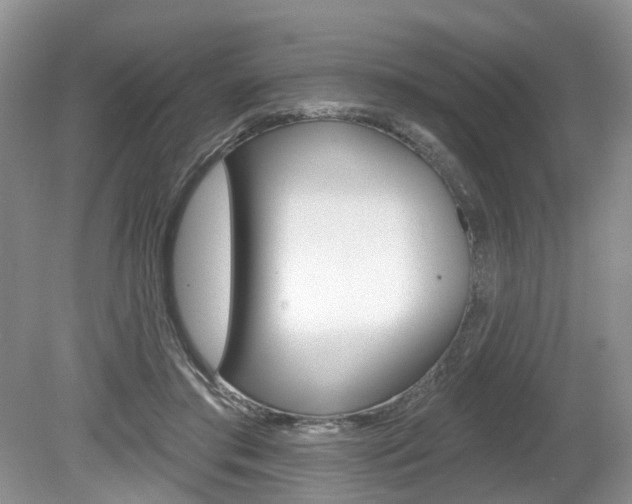 X0000080180405200612081139