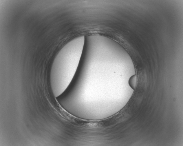 X0000080180406200612081139