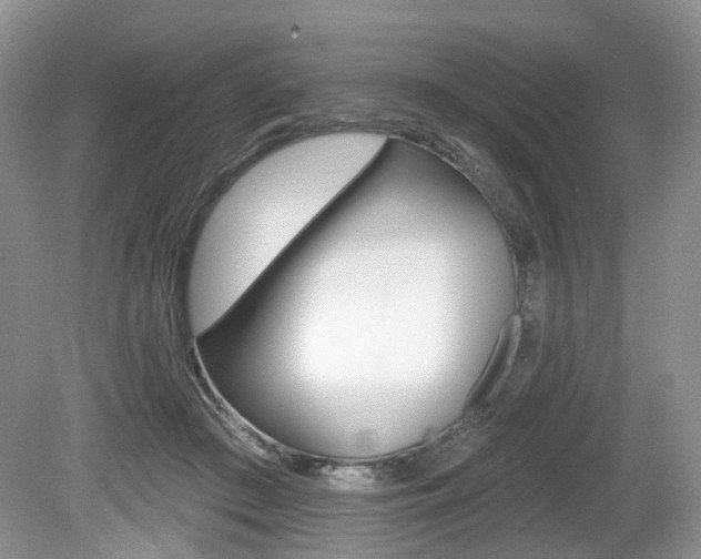 X0000080180409200612081139