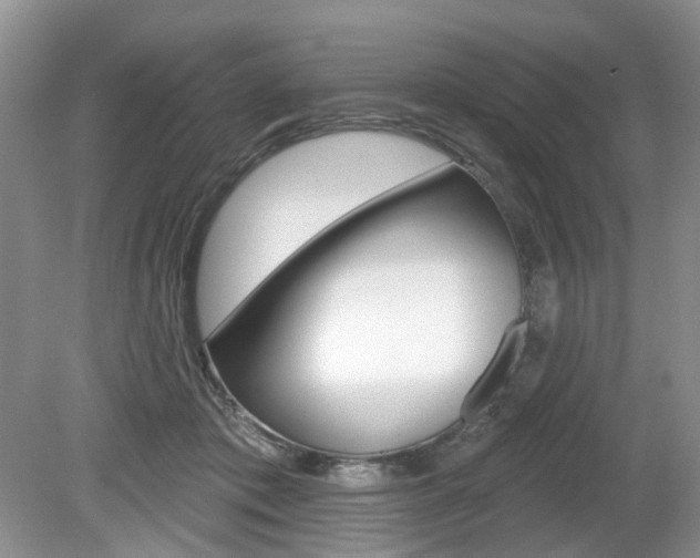 X0000080180413200612081139