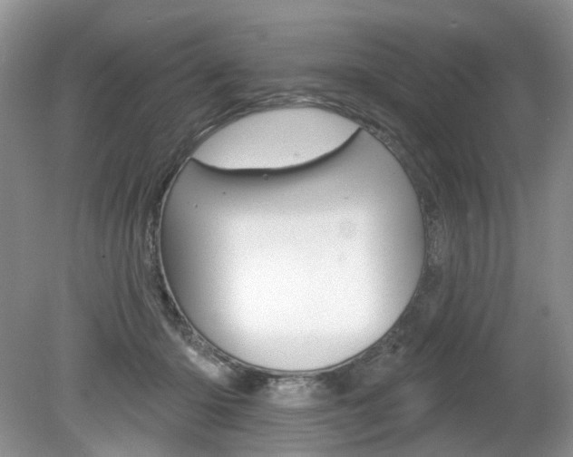 X0000080180414200612081139