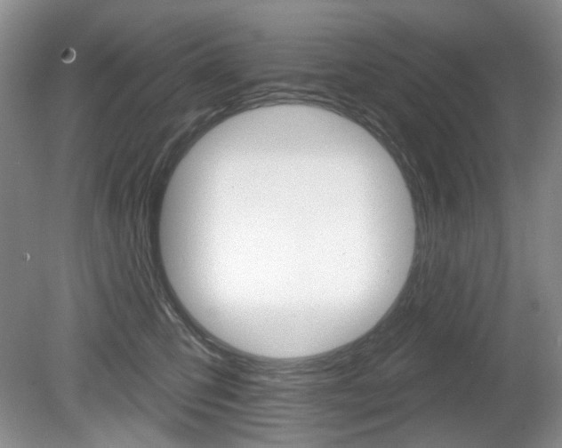 X0000080180423200612081139