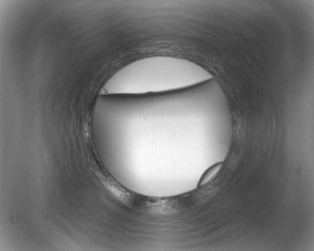 X0000080180430200612081139