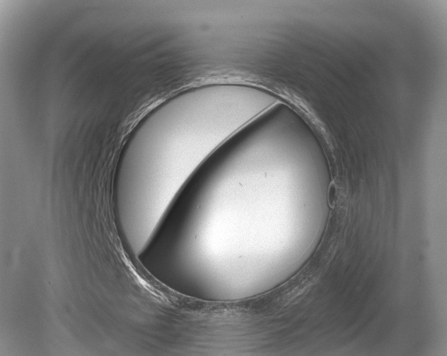 X0000080180433200612081138