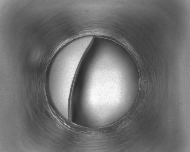 X0000080180434200612081138