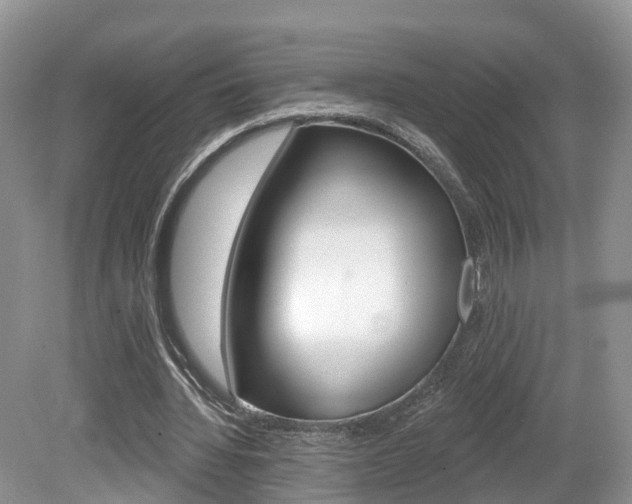 X0000080180436200612081138