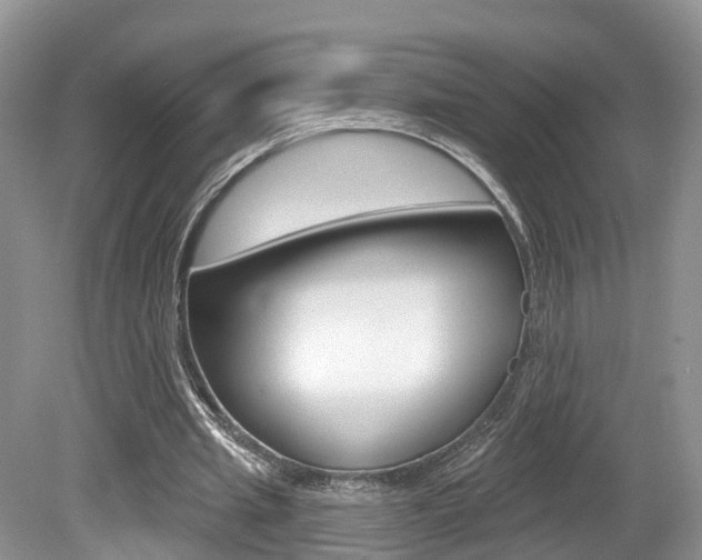 X0000080180437200612081138