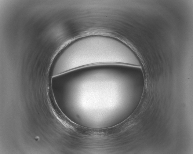 X0000080180438200612081138