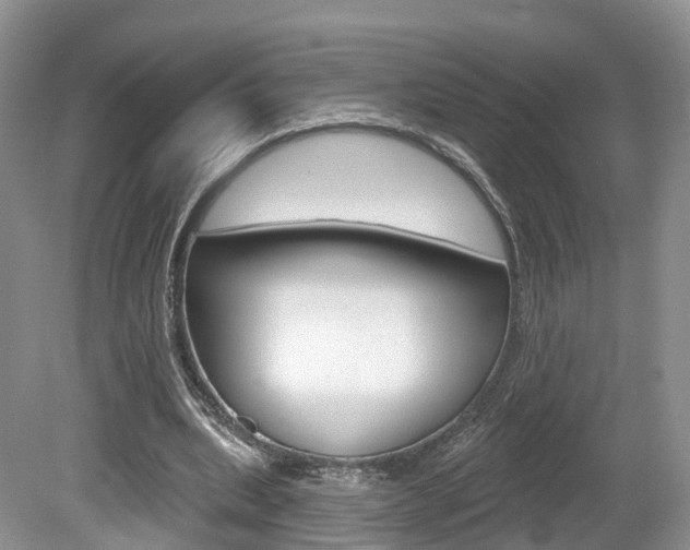 X0000080180439200612081138