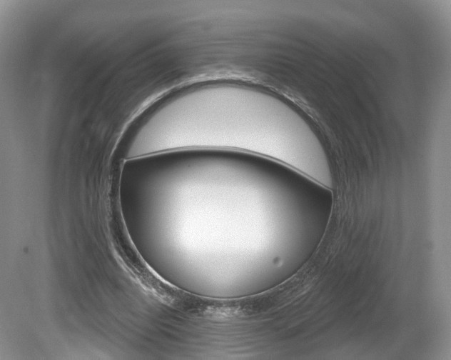 X0000080180440200612081138
