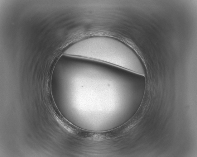 X0000080180441200612081138