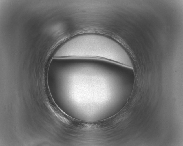 X0000080180442200612081138