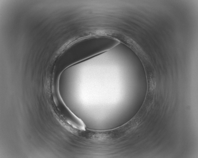 X0000080180444200612081138
