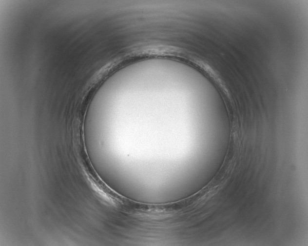 X0000080180445200612081138