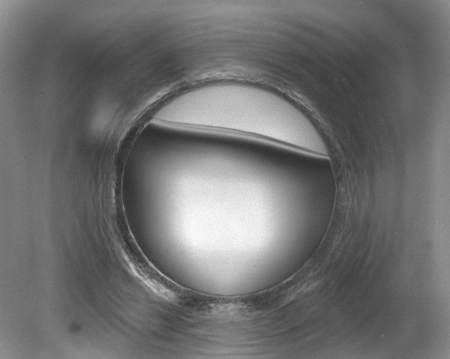 X0000080180446200612081138