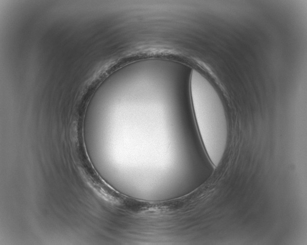 X0000080180447200612081138