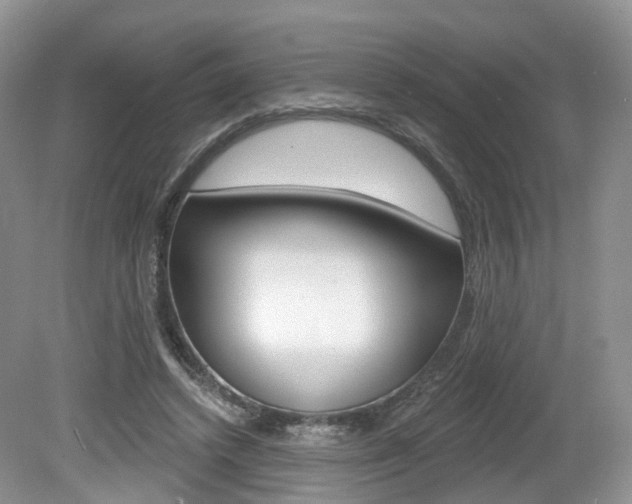 X0000080180448200612081138