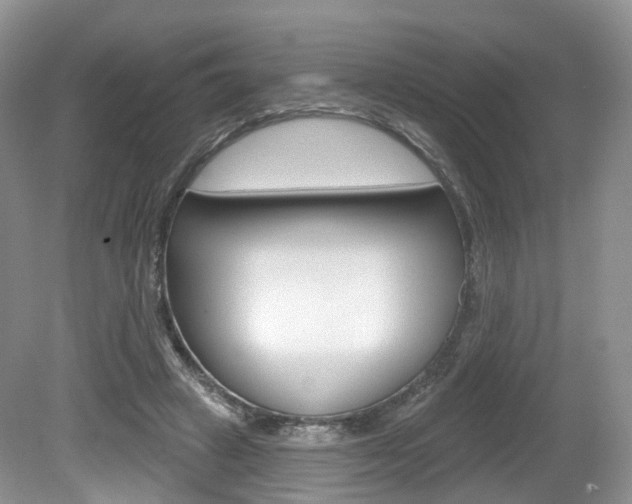 X0000080180449200612081138