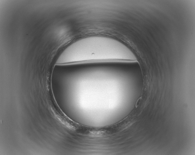 X0000080180450200612081138