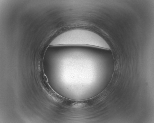 X0000080180452200612081138