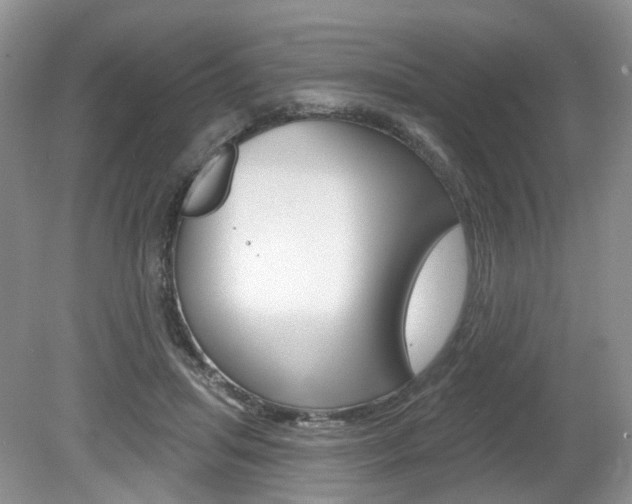 X0000080180455200612081138