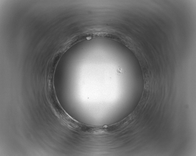 X0000080180456200612081138